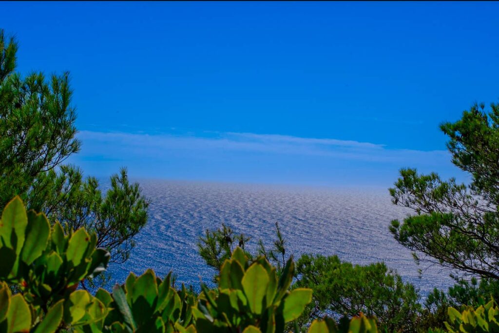 visite porquerolles