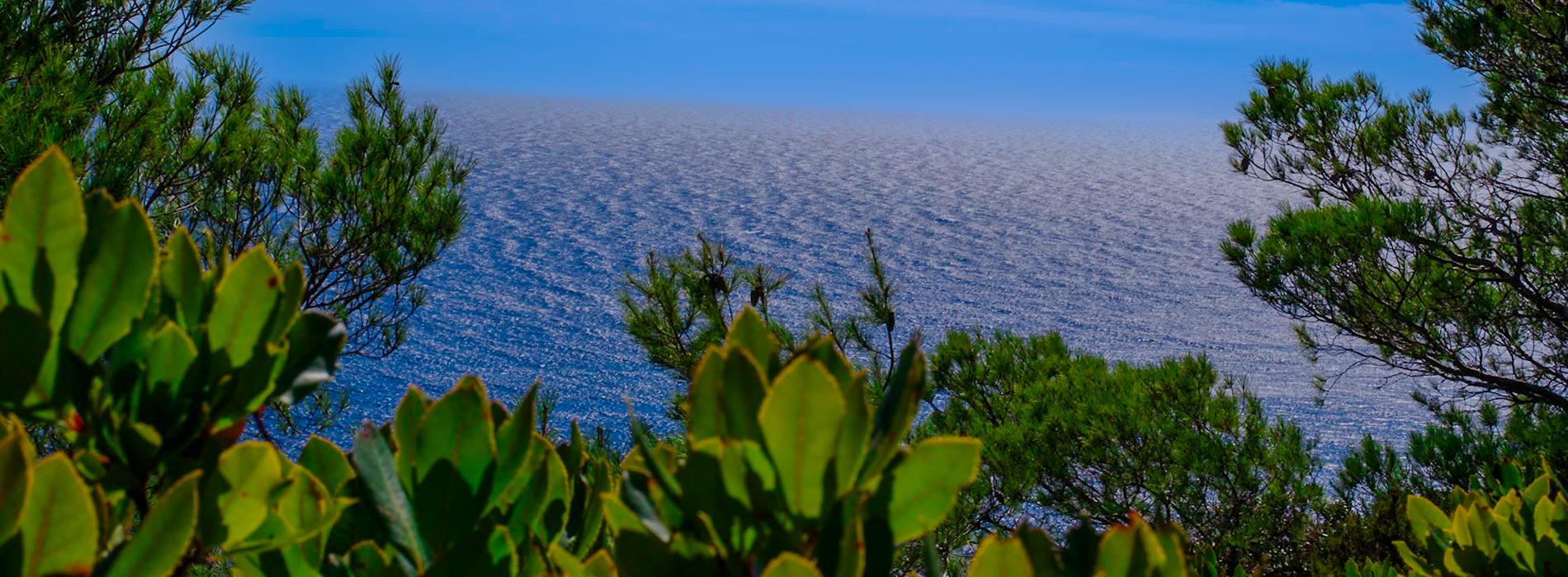 visite porquerolles