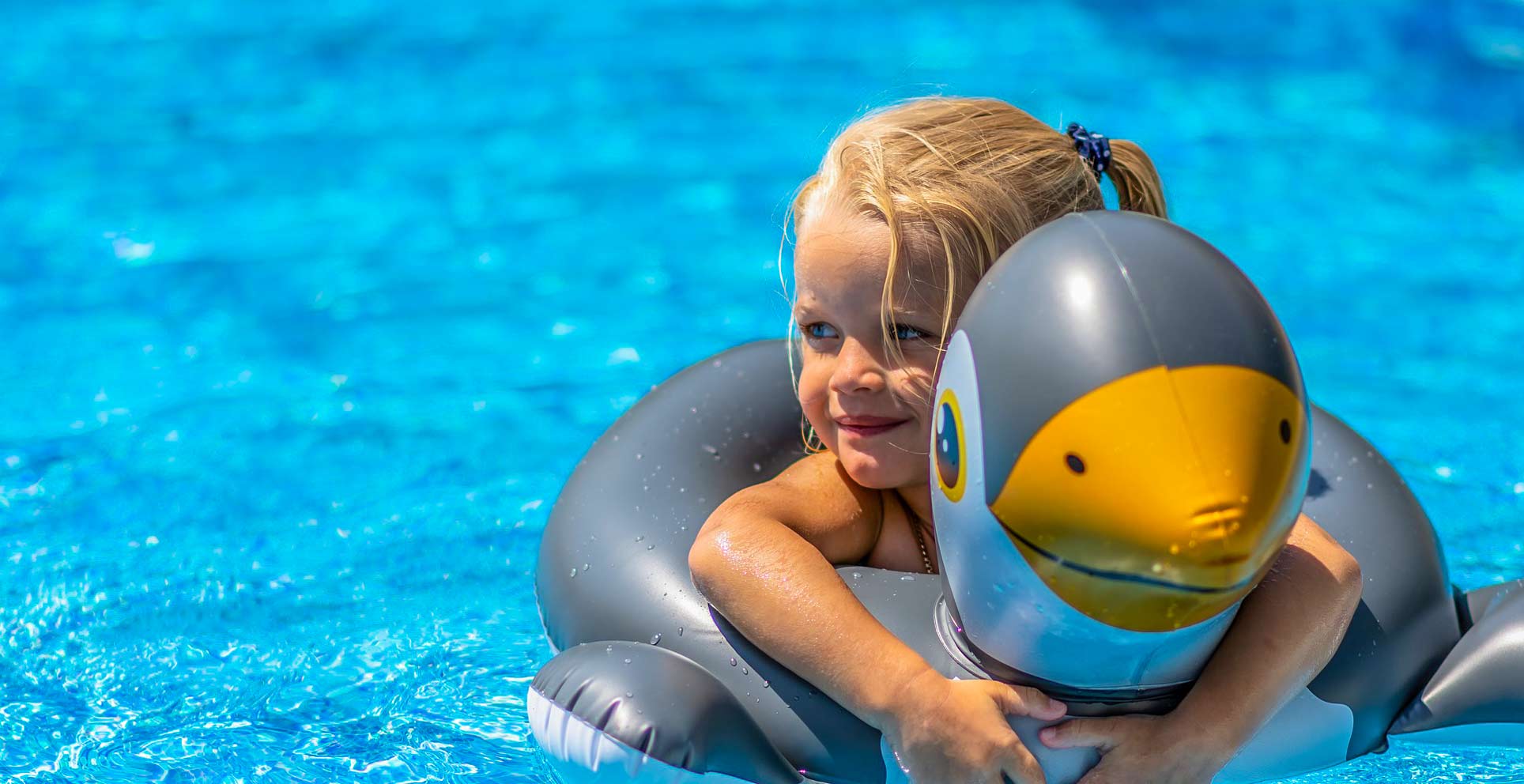 camping à saint-tropez avec grande piscine