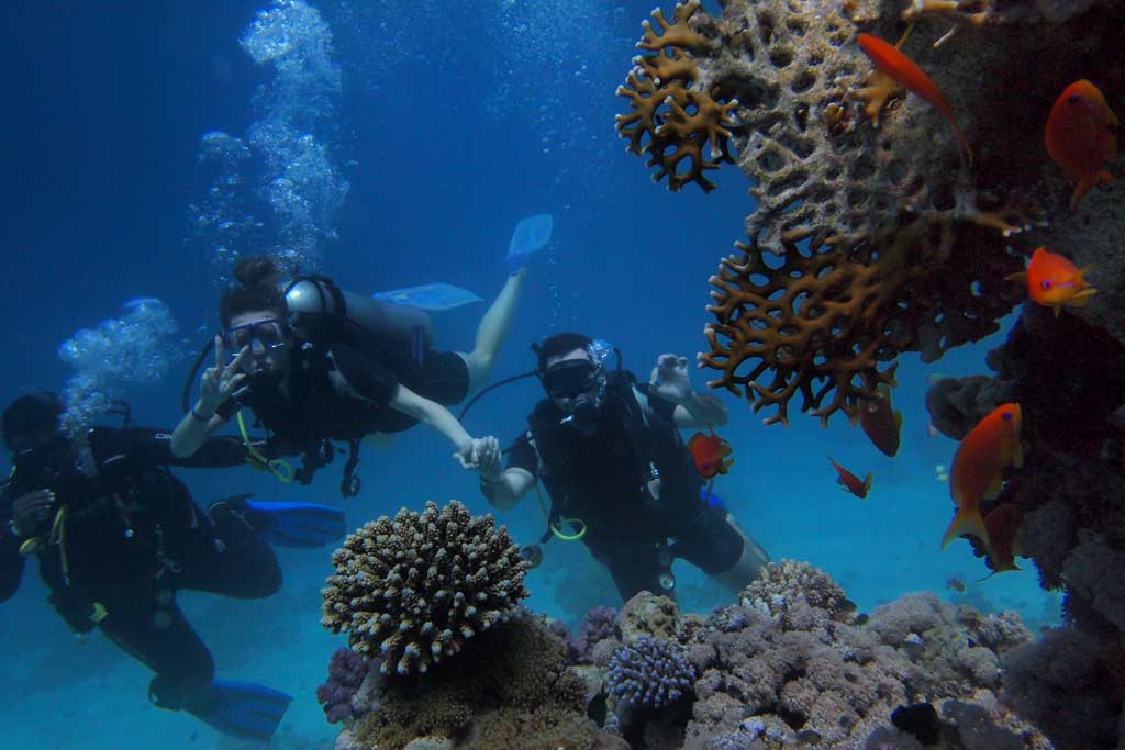 Plongée à Cavalaire-sur-Mer - Plongée sous-marine dans le Var