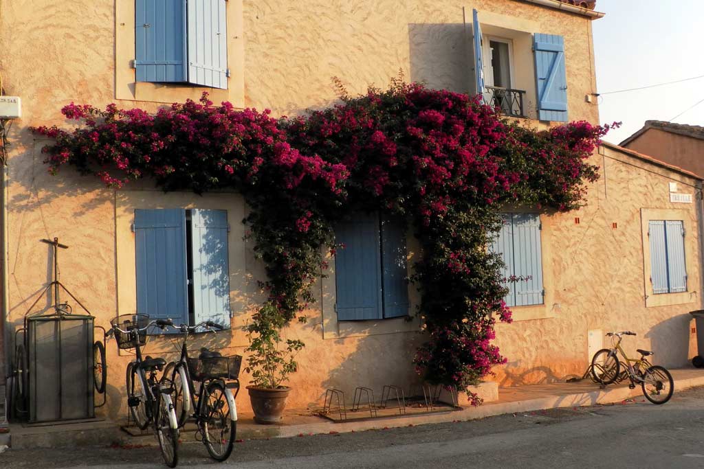 Moulin à Porquerolles