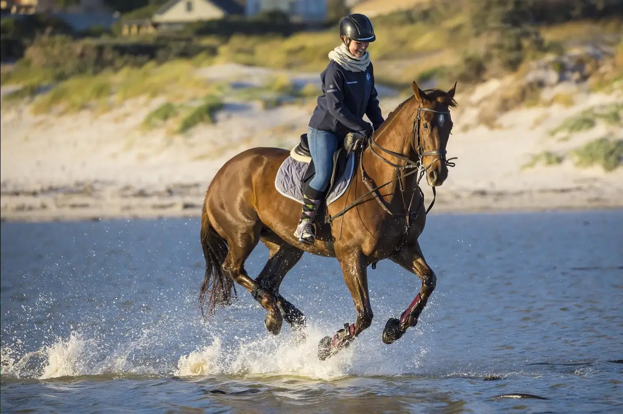 balade à cheval à proximité de Saint-Tropez