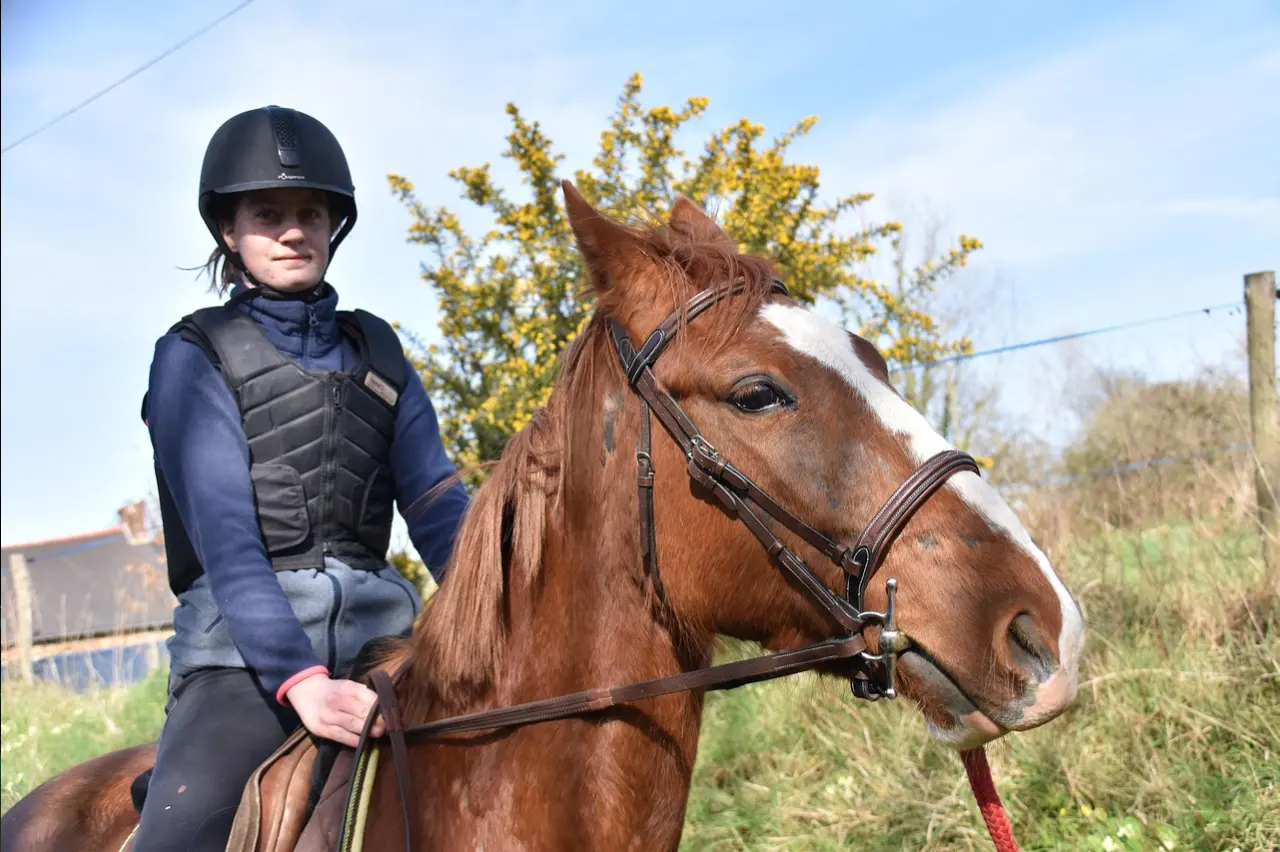 balade à cheval autour de Saint-Tropez
